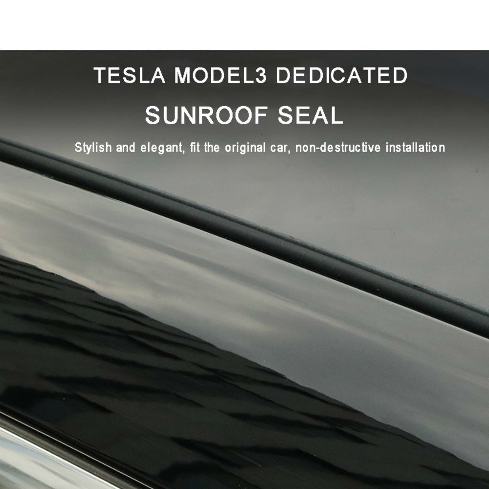 Tesla model3 windshield roof sunroof seal